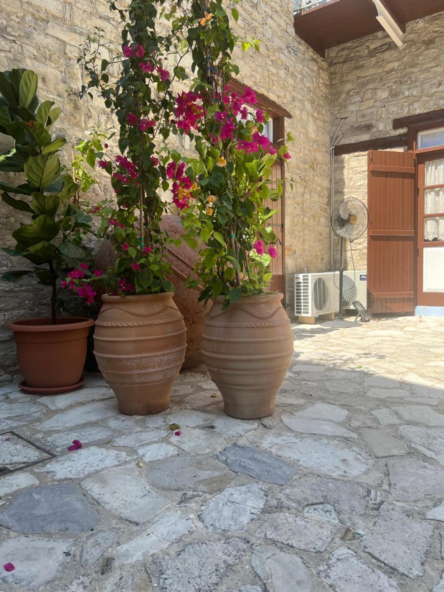 Villa Theodorou Lefkara Esterno foto